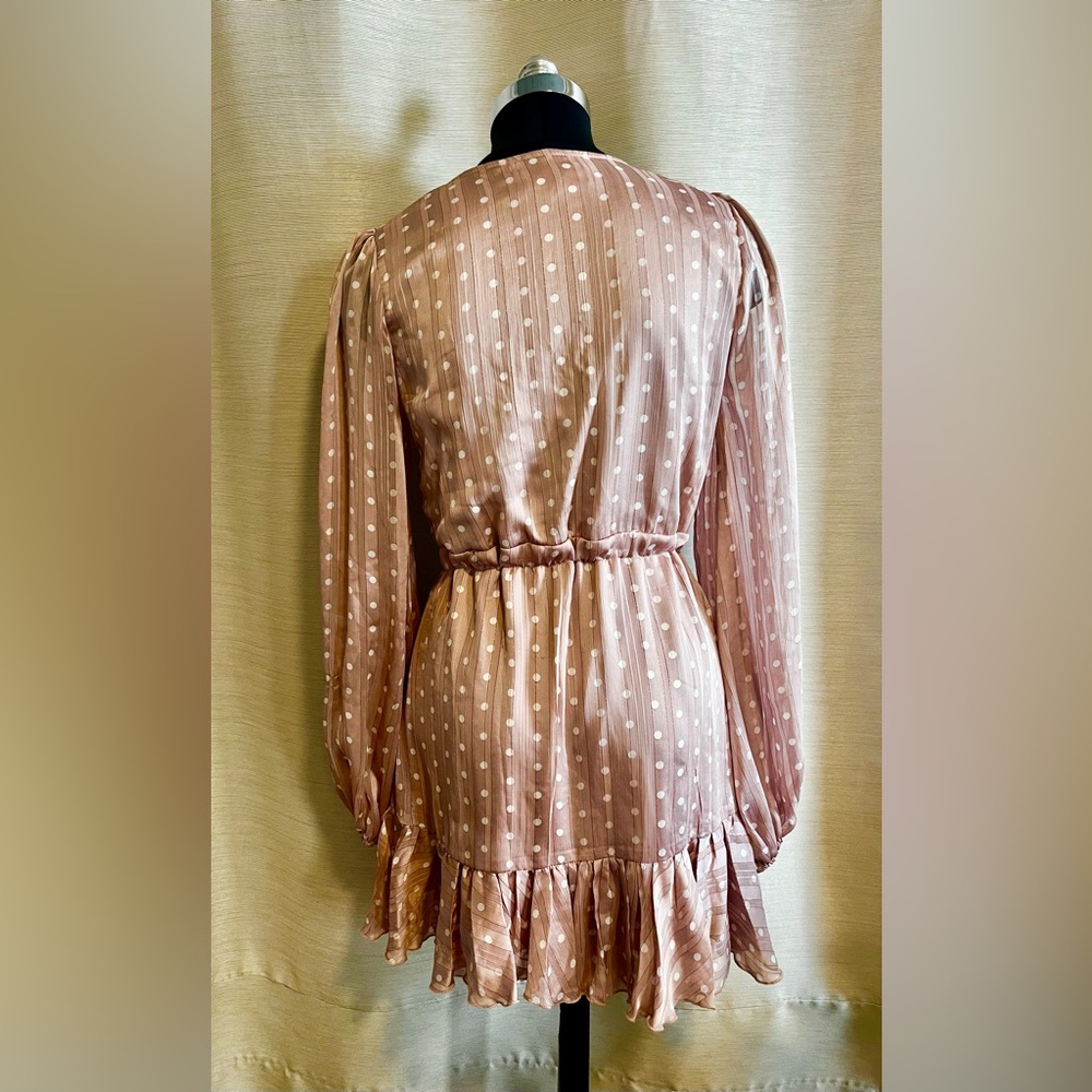 Polka Dot Pink Dress - Picture 5 of 5